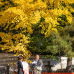 お宮参り_下鴨神社