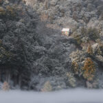 雪の嵐山公園亀山地区