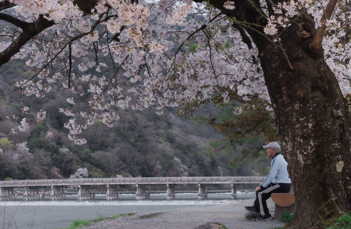 嵐山渡月橋