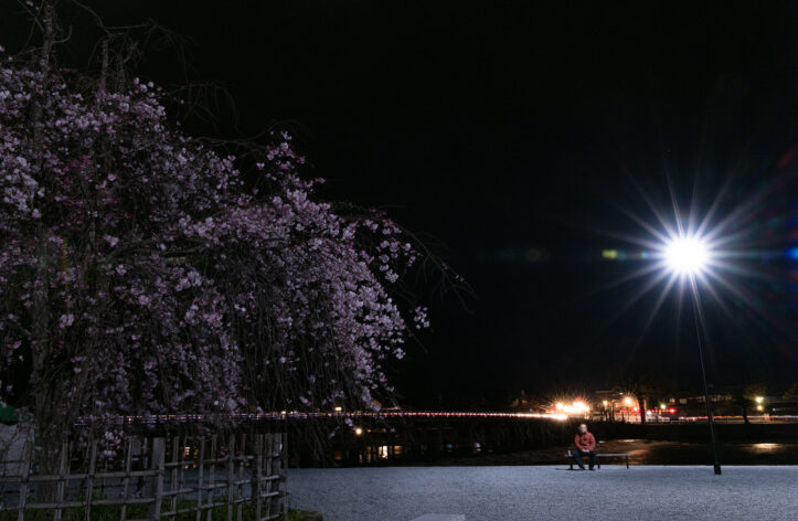 嵐山渡月橋_夜桜