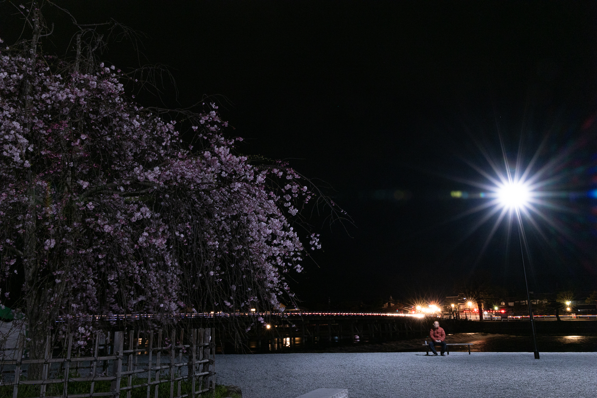 嵐山渡月橋_夜桜