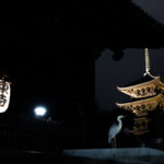 東寺光跡夜景