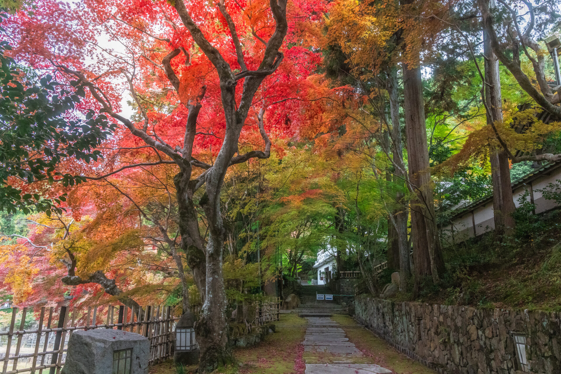 亀岡市苗秀寺